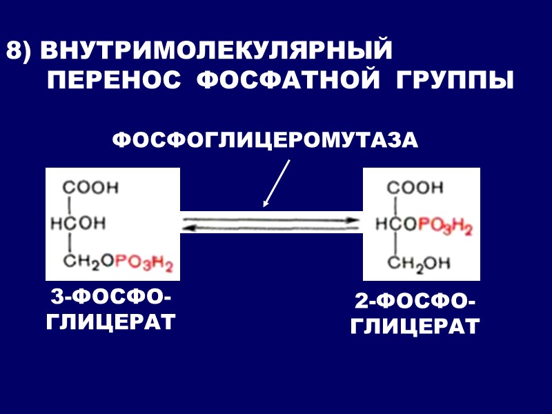 8) ВНУТРИМОЛЕКУЛЯРНЫЙ      ПЕРЕНОС  ФОСФАТНОЙ  ГРУППЫ